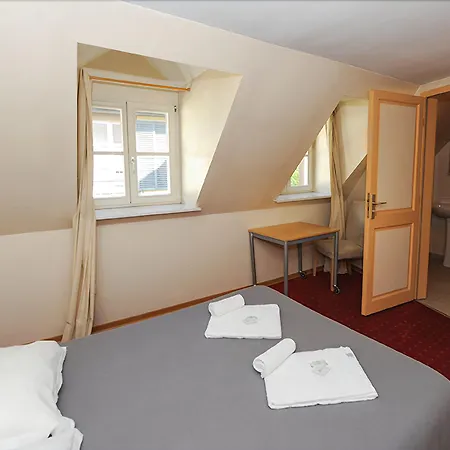 Patricia - Hyper Centre