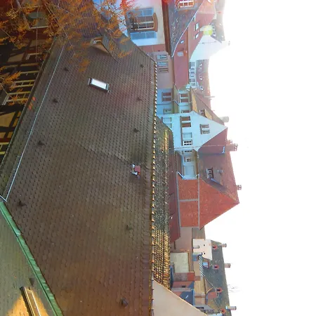 Patricia - Hyper Centre Estrasburgo