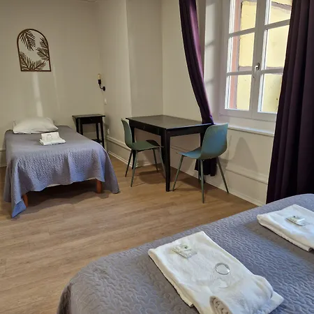 Patricia - Hyper Centre Hotel Estrasburgo