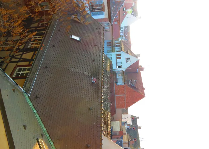 Patricia - Hyper Centre Strasbourg