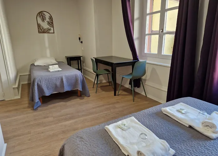 Patricia - Hyper Centre Hotel Strasbourg